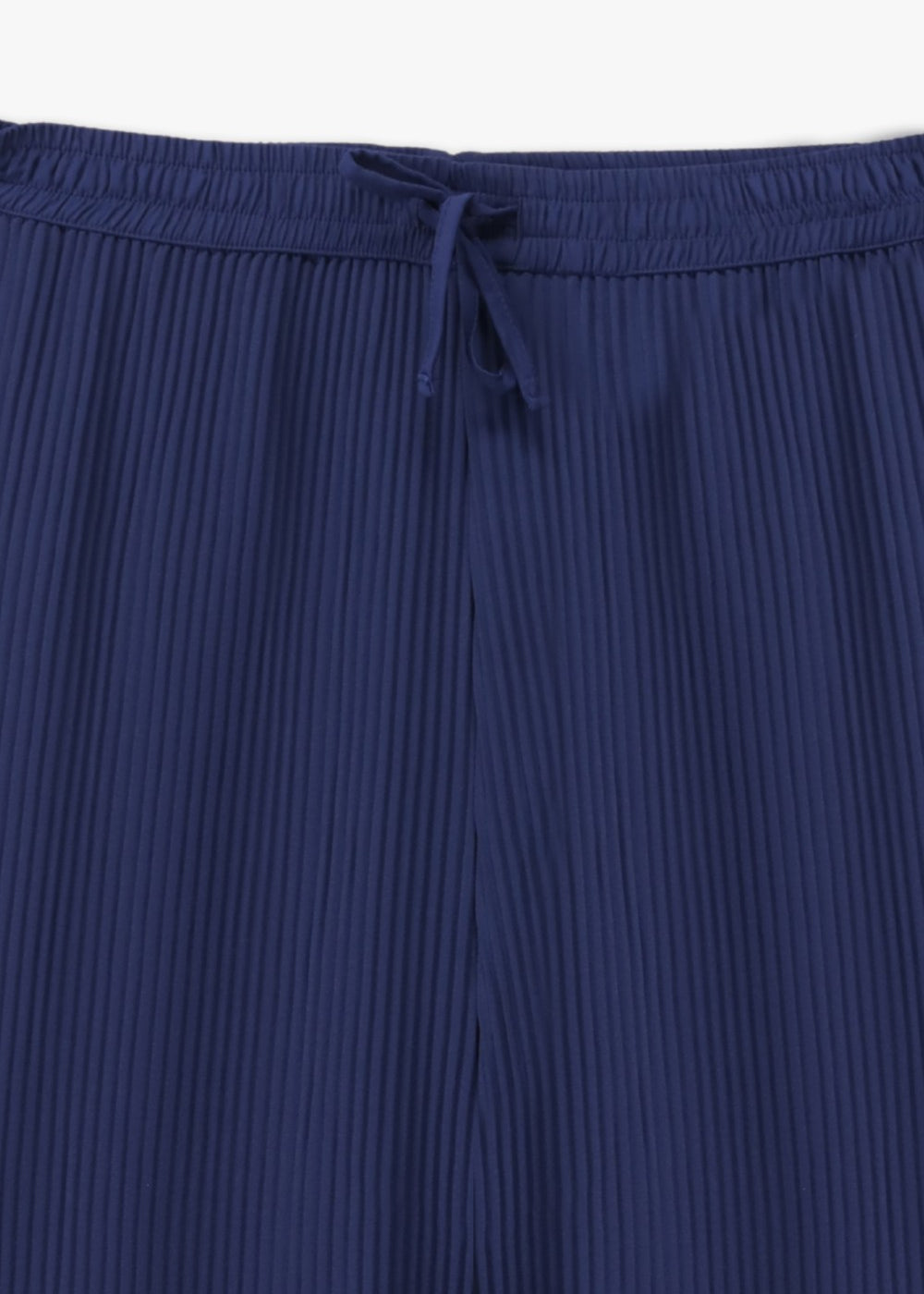 Pleated Wide-Leg Pants