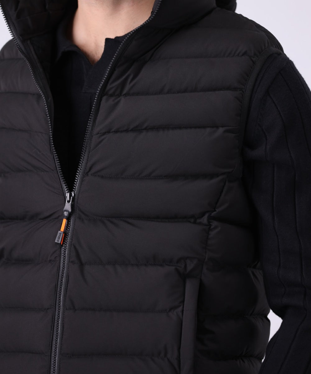 Hooded Puffer
