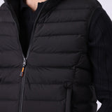 Hooded Puffer