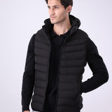 Hooded Puffer