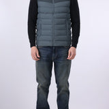 Hooded Puffer