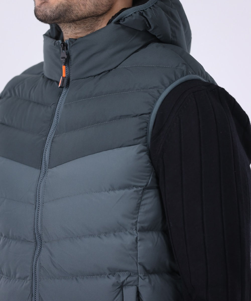 Hooded Puffer