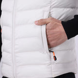Hooded Puffer