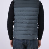 Hooded Puffer