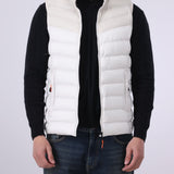 Hooded Puffer