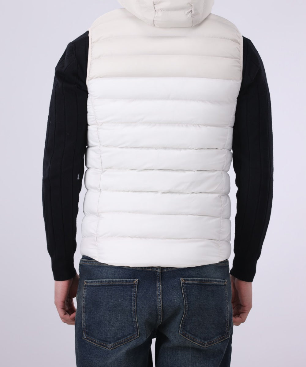 Hooded Puffer