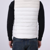 Hooded Puffer