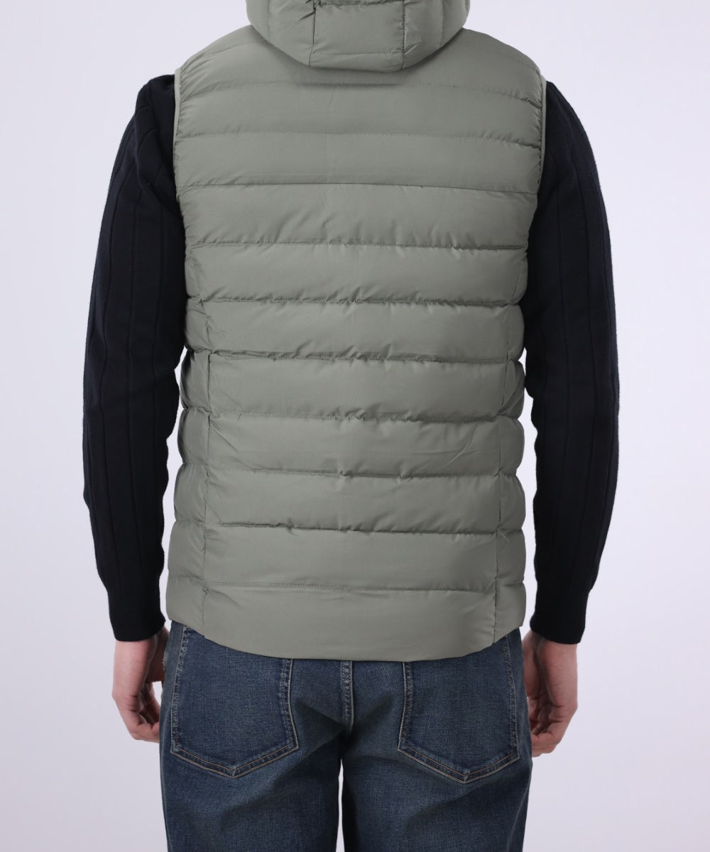 Hooded Puffer