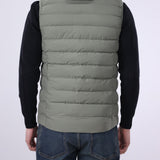 Hooded Puffer