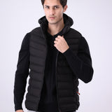 Hooded Puffer