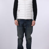 Hooded Puffer