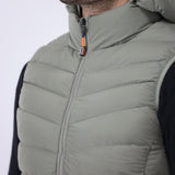 Hooded Puffer